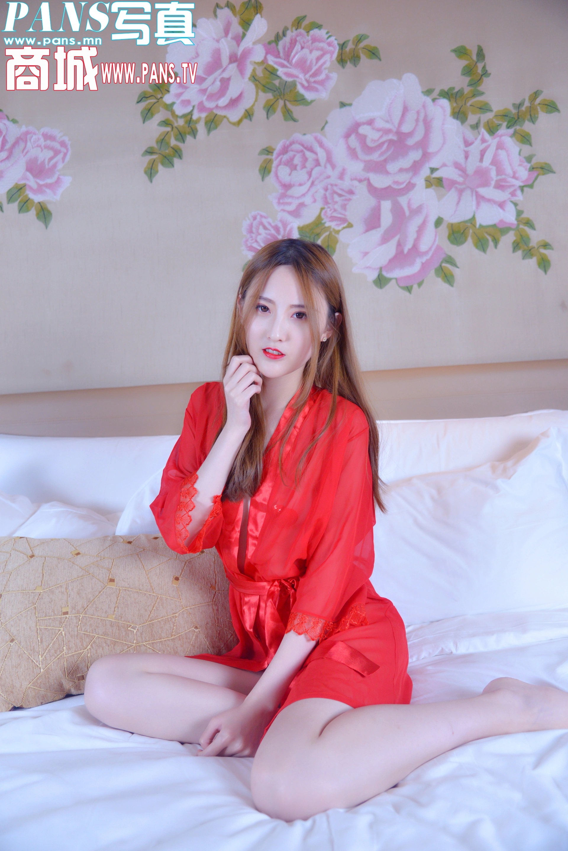[PANS写真] 2018.02.17 NO.911 狐狸 2